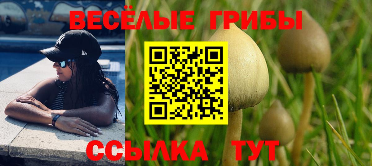 Псилоцибиновые грибы GOLDEN TEACHER Полевской